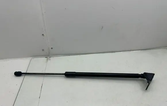 Tailgate/trunk strut/damper