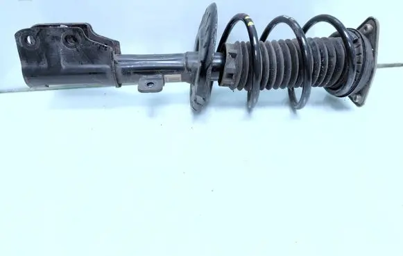 Opel Grandland X Front shock absorber with coil spring 9848888680