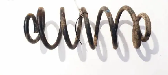 Volkswagen Golf V Rear coil spring