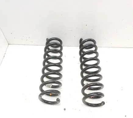 Rear coil spring