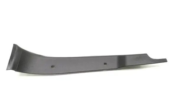 Rear/tail light trim molding