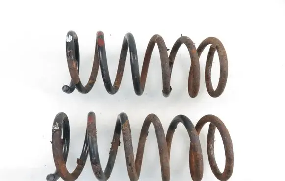 Opel Antara Rear coil spring 