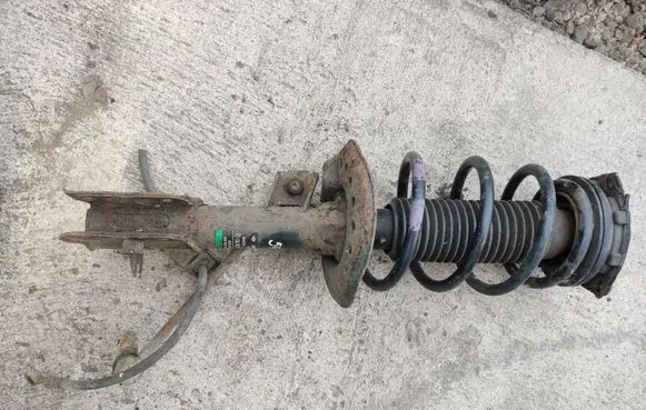 Nissan Qashqai Front shock absorber with coil spring 54302 824903003492