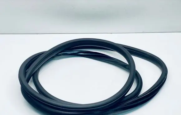 Rear door rubber seal (on body)