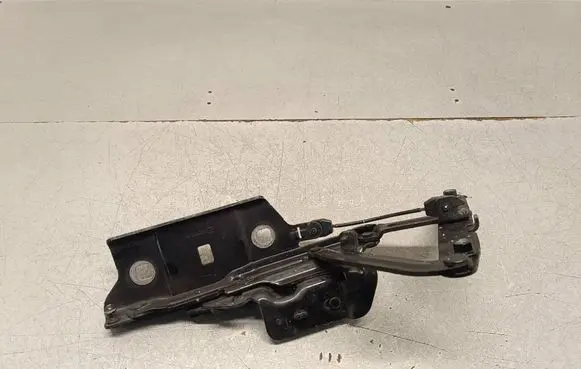 Opel Insignia B Engine bonnet/hood hinges 39126609