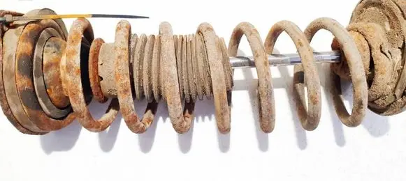 Rear coil spring