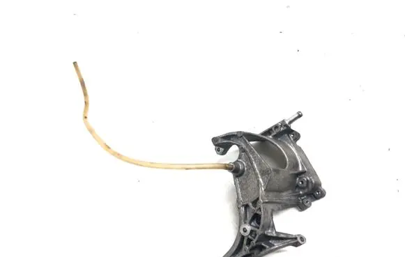 Citroen Berlingo Fuel pump bracket 9672309580