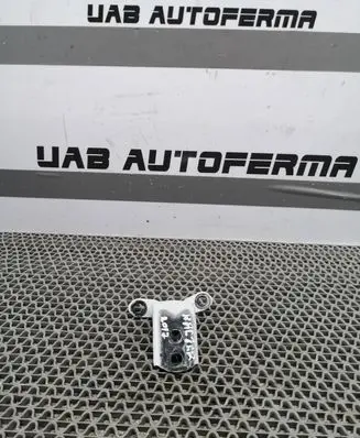 Renault Kadjar Rear door lower hinge