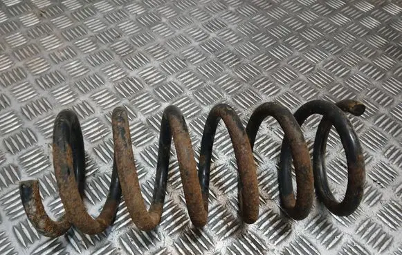 Rear coil spring