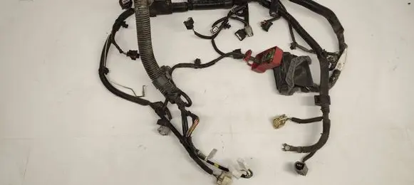 Engine installation wiring loom