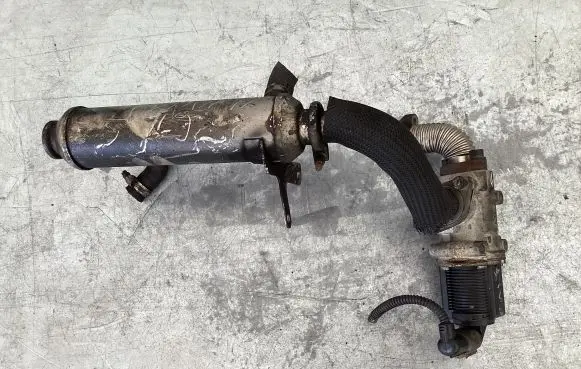 EGR valve