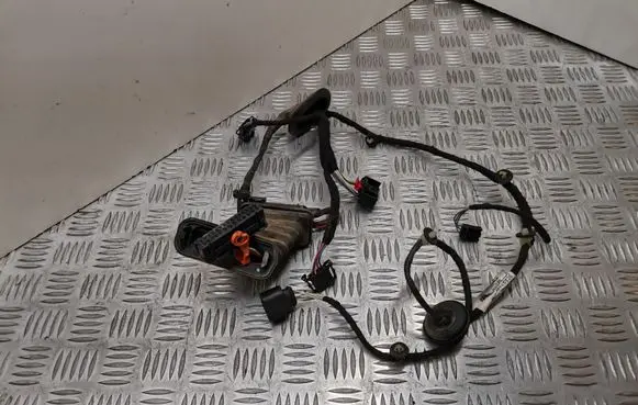 Volkswagen PASSAT B6 Rear door wiring loom 3C4971694MA TAB016298CH