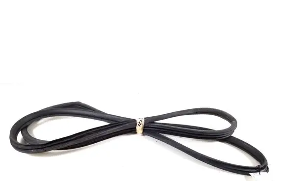 Toyota Avensis Verso Rear door rubber seal (on body) 62331-44040