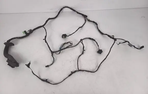 BMW 3 E92 E93 Front door wiring loom 6925548 9186658