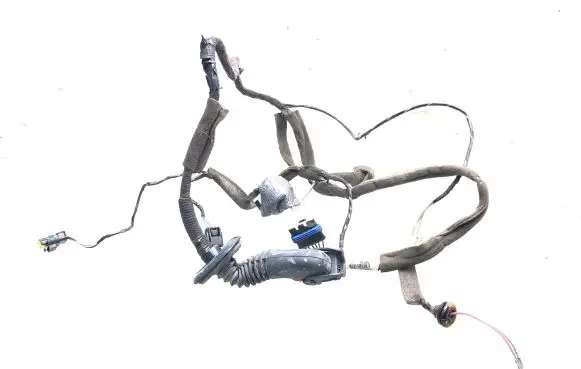 Renault Scenic II - Grand scenic II Front door wiring loom 8200235839