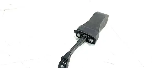 Volkswagen Arteon Rear door check strap stopper 3G8839267 50313