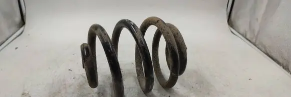 Rear coil spring