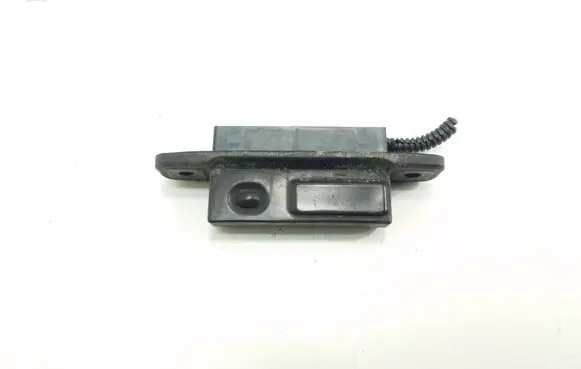 Lexus RX 450H Loading door exterior handle 8484028040