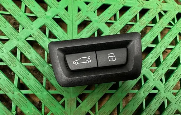 BMW X7 G07 Tailgate/boot open switch button 5A64C25 305496957