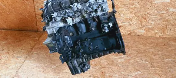 Mercedes-Benz C W202 Engine 60491000054425