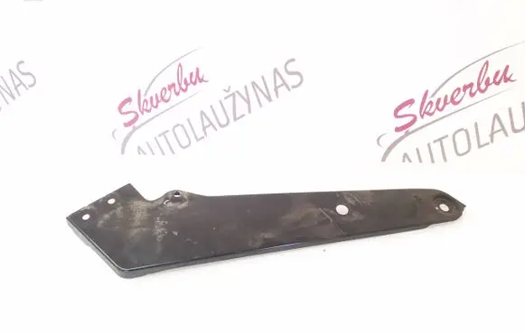 Volkswagen PASSAT B8 Side radiator support slam panel 