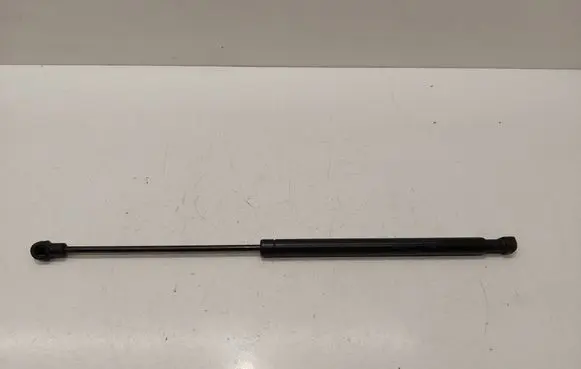 Tailgate/trunk strut/damper