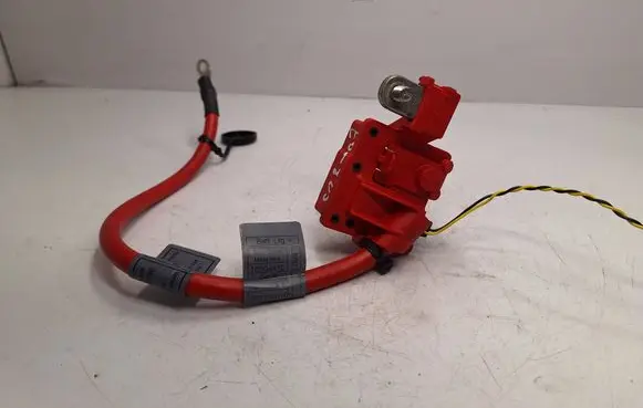 BMW 3 E92 E93 Positive cable (battery) 9217031 61129217031 61126988974