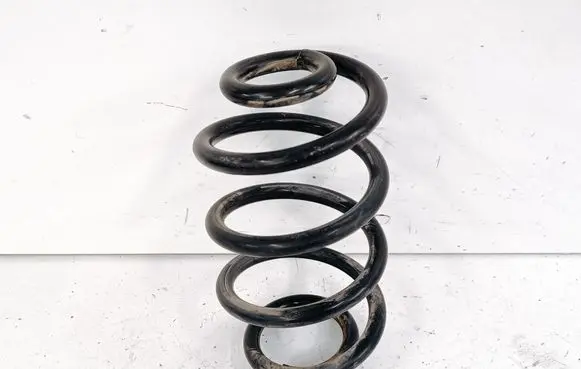 Rear coil spring