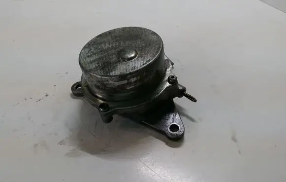 Opel Signum Vacuum pump 8973304130