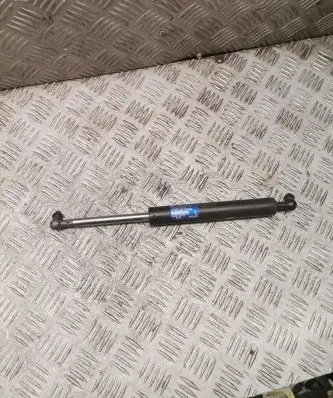 Tailgate strut