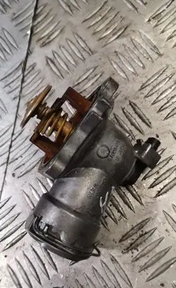 Thermostat/thermostat housing