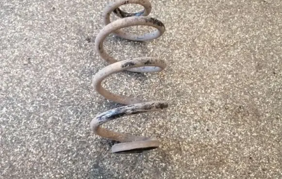 Nissan X-Trail T31 Rear coil spring