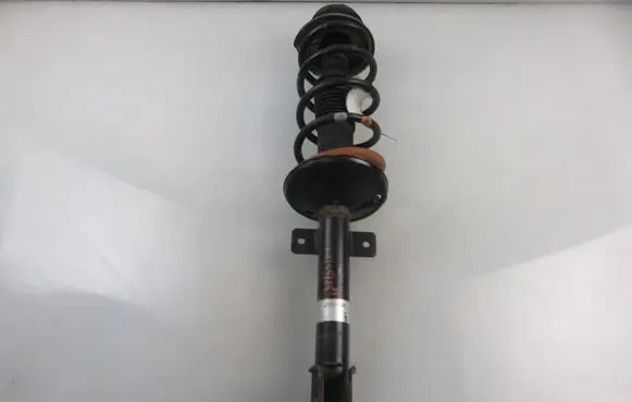 Dacia Duster Rear shock absorber with coil spring 