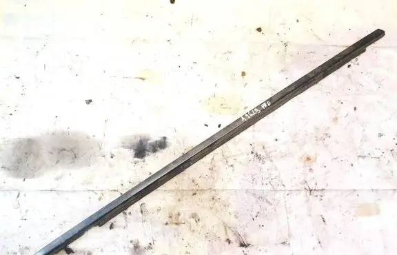 Mitsubishi Carisma Front door glass trim molding 