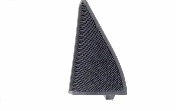 Other front door trim element
