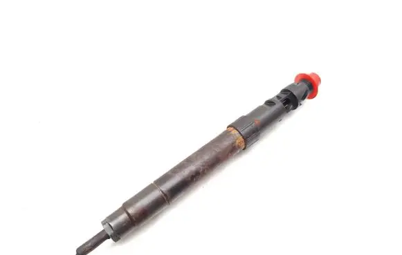 Ford S-MAX Fuel injector 9686191080 EMBR00101D