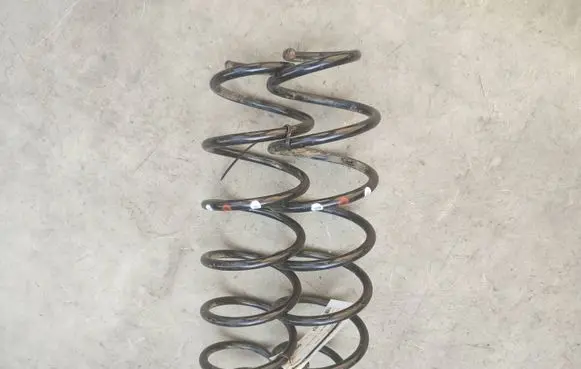 Citroen C4 Cactus Rear coil spring