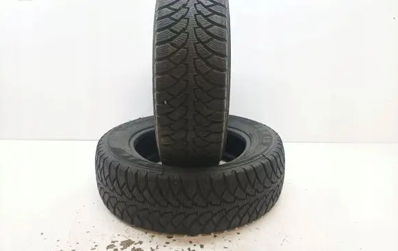Volkswagen PASSAT B5 R15 winter tire 