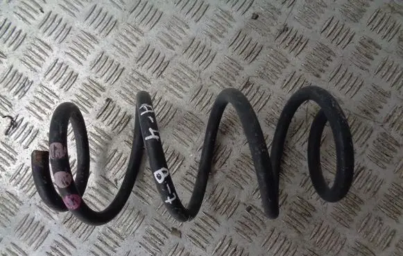 Rear coil spring