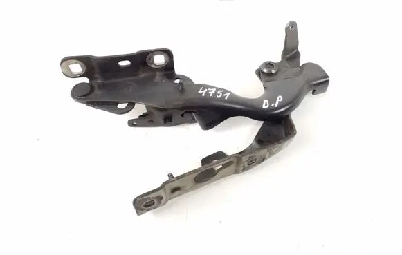 Infiniti Q30 Engine bonnet/hood hinges 654005DA0B