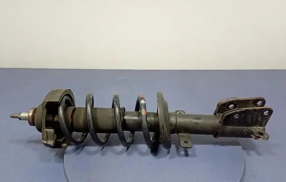 Opel Vivaro Front shock absorber with coil spring 543029028R