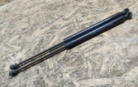Dacia Sandero Tailgate/trunk strut/damper 904529943R
