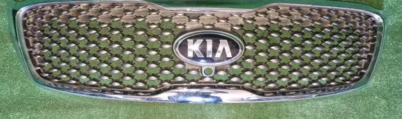 Front bumper upper radiator grill