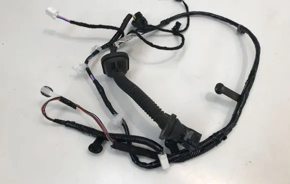 Rear door wiring loom