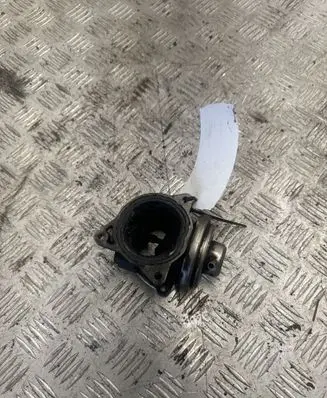 Seat Altea XL Throttle valve