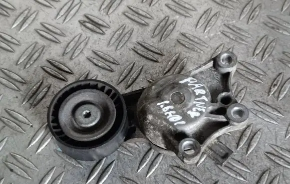 Peugeot Partner Alternator belt tensioner 9676854880