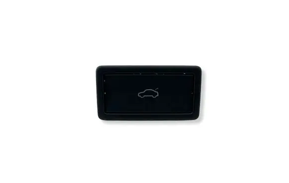 Volkswagen Tiguan Tailgate/boot open switch button 3G0959831B