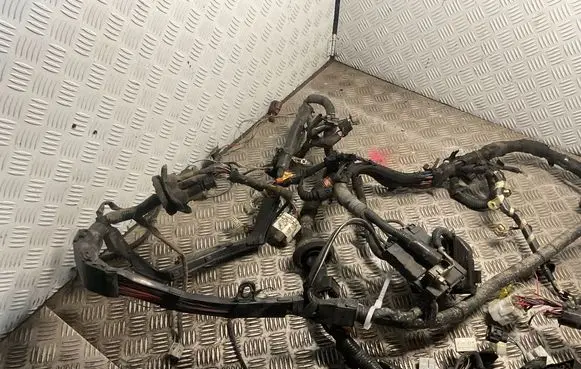 Toyota RAV 4 (XA20) Engine installation wiring loom 