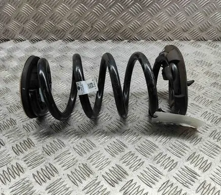 Tesla Model Y Rear coil spring 118847600B