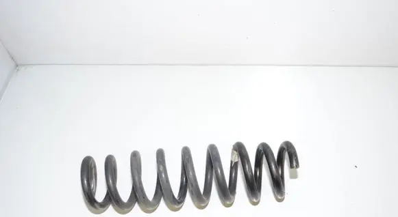 Rear coil spring